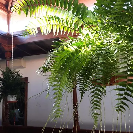 Casa Carlos - #111134 Vilaflor